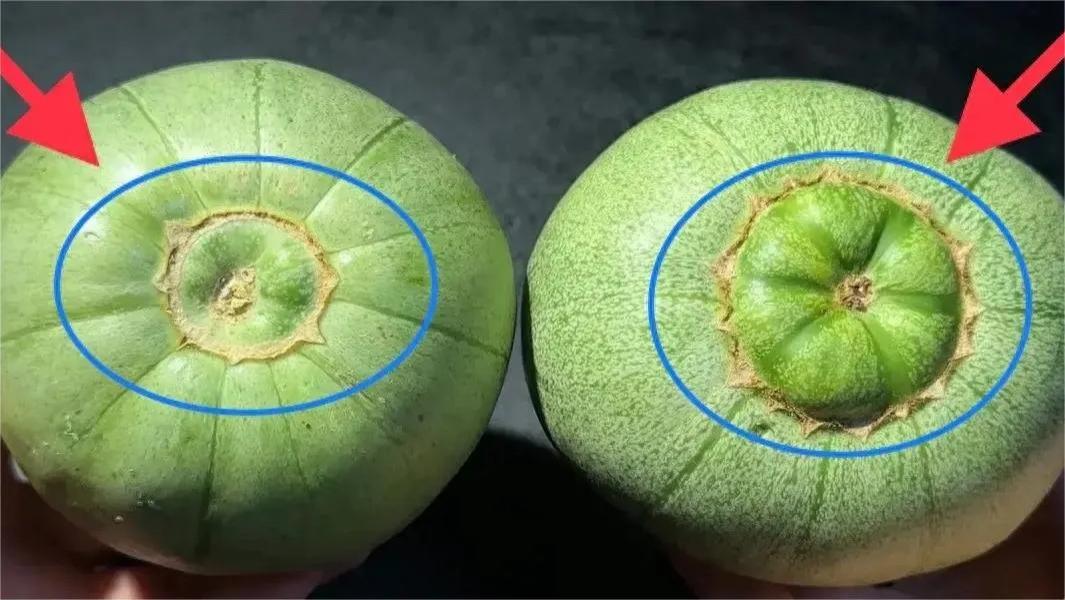 甜瓜甜不甜，看一眼这里就识别，一挑一个准甜，多亏资深果农提醒