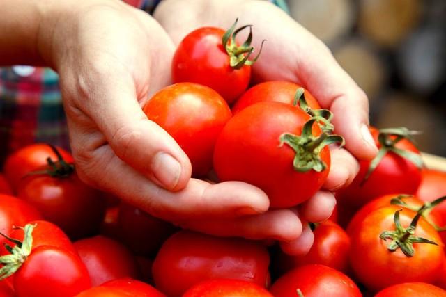 西红柿用油炒之后，更容易消化吸收？想要减肥的人，别选错了