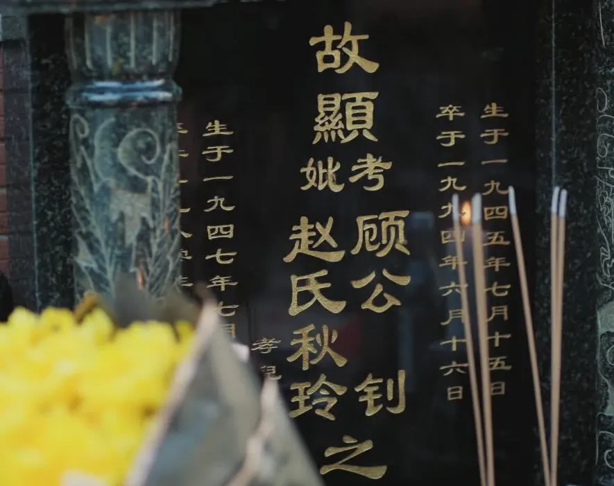 震撼满屏!《雪迷宫》32集终极落幕,年度最揪心大结局!