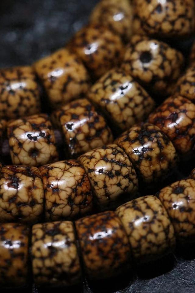 百年老星月菩提，包浆开片玉化收缩，都到了巅峰