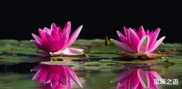 这五个星座下半年有望遇贵人，帮助他们职业发展得更顺利！