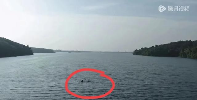 王一博和老雪怎么有一种淡淡的疯感，42度在热带雨林荒野求生