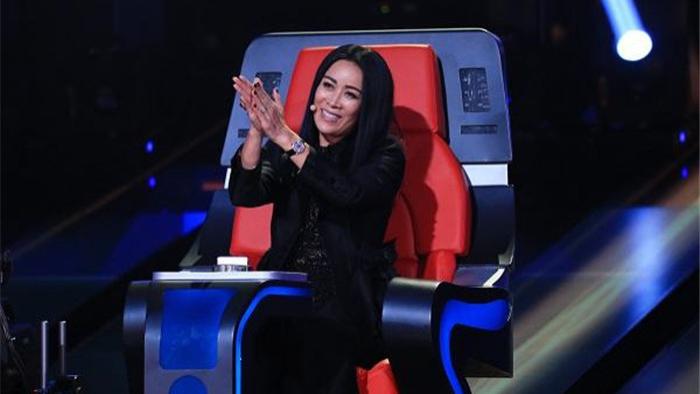 湖南卫视|《歌手2024》再爆嘉宾阵容，好声音三人受邀，天王天后争夺C位