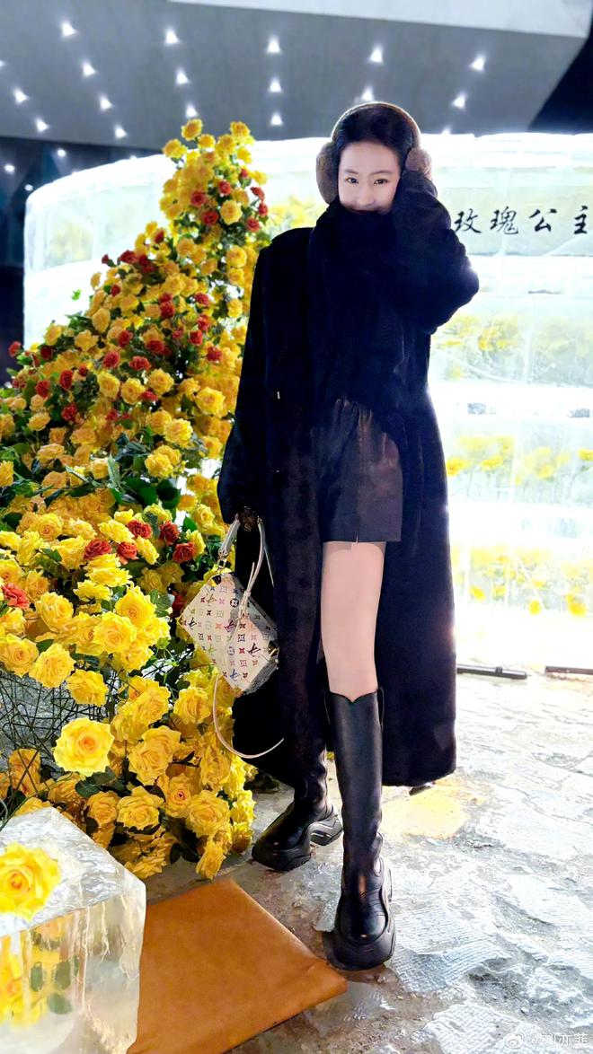 刘亦菲晒出哈尔滨打卡黄玫瑰，包包衣服价格不菲，回家顺带看姥姥