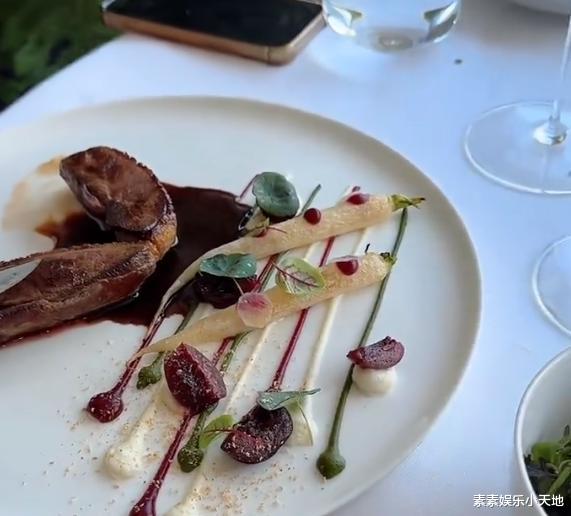 汪小菲带小梅到日内瓦度蜜月,坐游艇喂天鹅,大S没有过的待遇