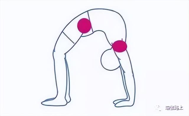 瑜伽「 轮式 」做不好?你一定没有这样逐步分解!