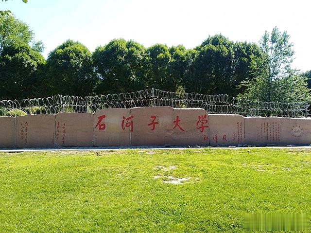 为什么211再远也要去？