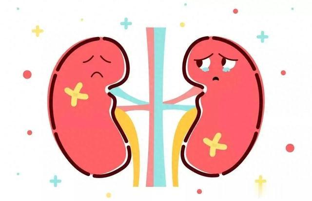 1个中成药，强过“他达拉非”，堪称肝肾全能王，还可调理这4种病