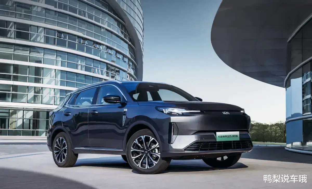 一箱油破千公里，才卖10万多，这两款车是公认省油王，舒适还安全