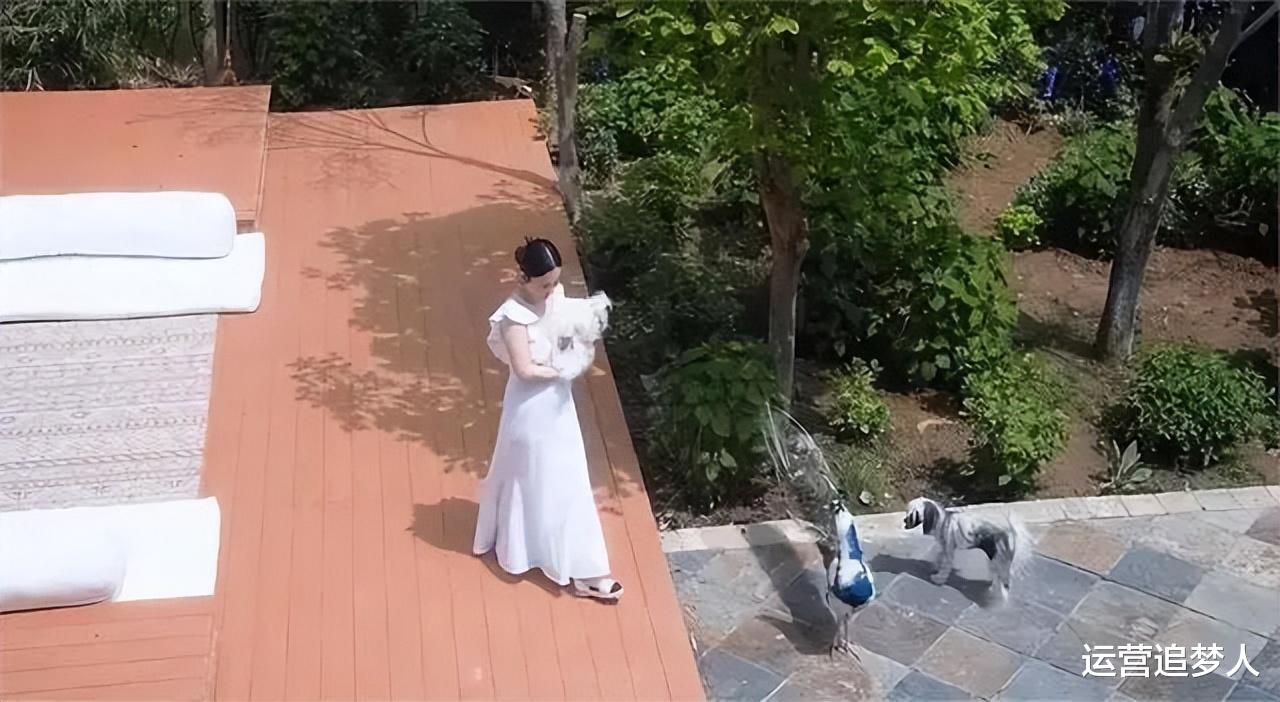 霍思燕三千平新家豪宅曝光,宠物竟是珍稀孔雀?惊人身材引关注!