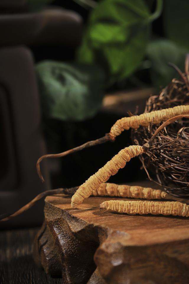 中国7大顶级食材，一口吃掉一辆豪车，普通人表示根本吃不起