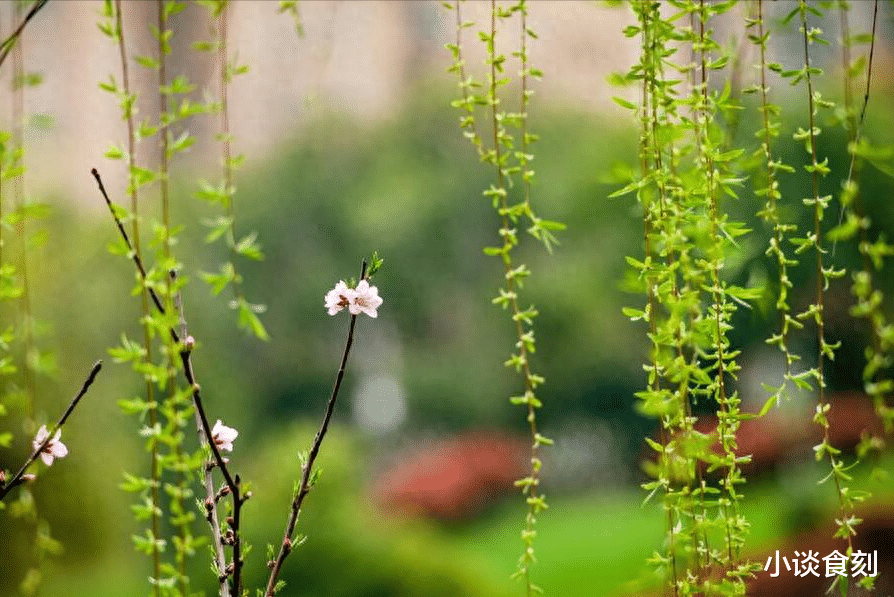 明日三月初三“吉日”,记得:扔1样,忌2事,吃3样,龙年诸事顺