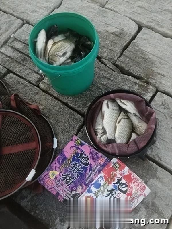 高温酷暑战胶河，地狱猫勇夺三连冠