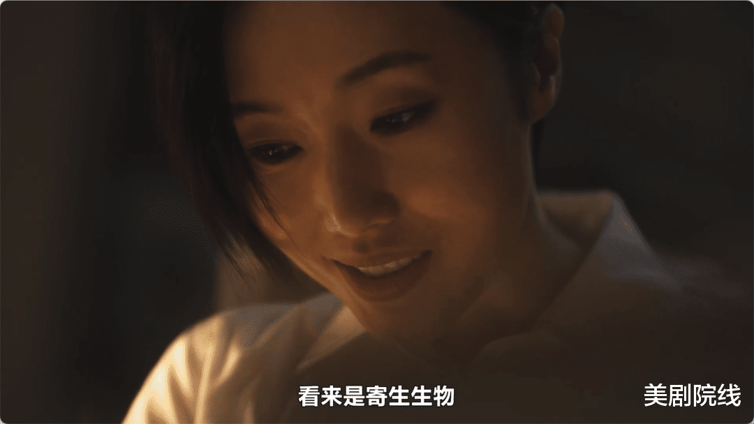 连刷全集，Netflix王炸又杀疯了