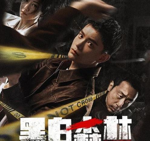 看了《我是刑警》在看《黑白森林》,一个果断放弃,一个熬夜追