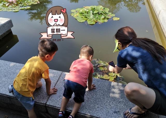 前央视主播李思思迎38岁生日，甜美冻龄似少女，俩儿子贴心送贺卡