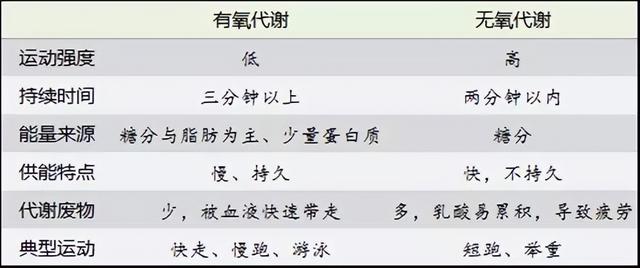 搞懂“有氧”与“无氧”，能解决你80%的运动困惑！