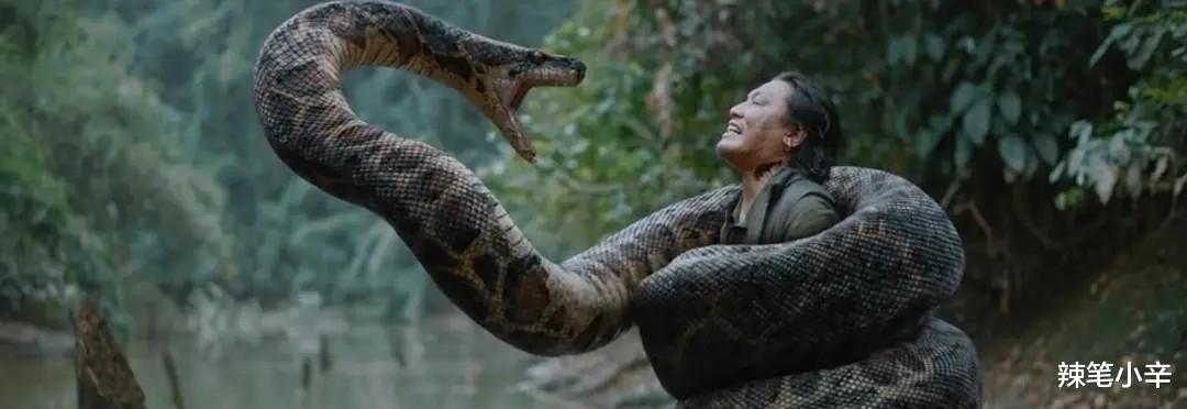 这一次,放弃性感的徐冬冬,上演了一出教科书式的“东施效颦”