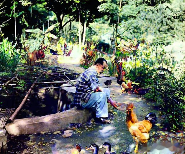 幽禁期间，张学良和夫人赵一荻罕见留影，可以看出他们的真实颜值