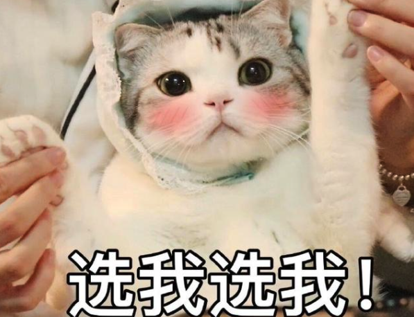 金融街电讯/杜猛 年轻人开始反向驯化大数据杀熟