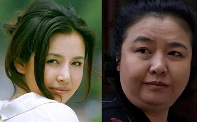 现在嫌她们丑,当年追成狗!这些发福的女明星,当年都美若天仙