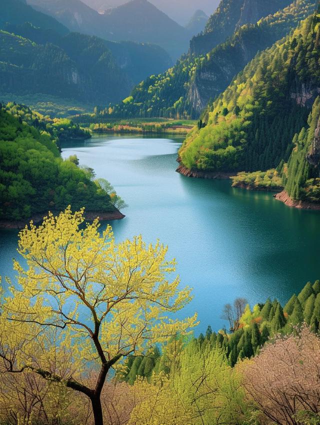 三大生肖事业一路高涨，再也不挨穷！揭秘！