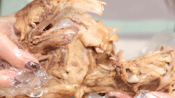 沈阳著名小吃正在热播!黄景瑜:吃了不下2000个