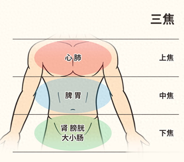 三焦不通，湿热源源不断！一个中成药，疏通三焦，轻松排湿热！