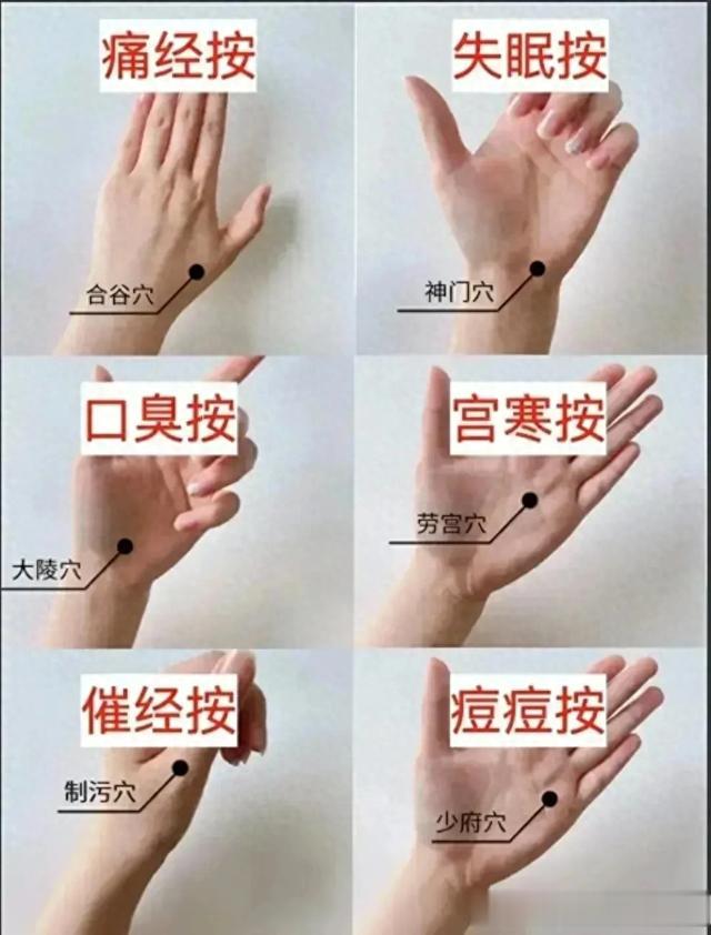 找对穴位,这些问题不再是困扰!