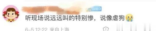 陈哲远|网友爆料陈哲远录新一季《密室大逃脱》被吓惨了