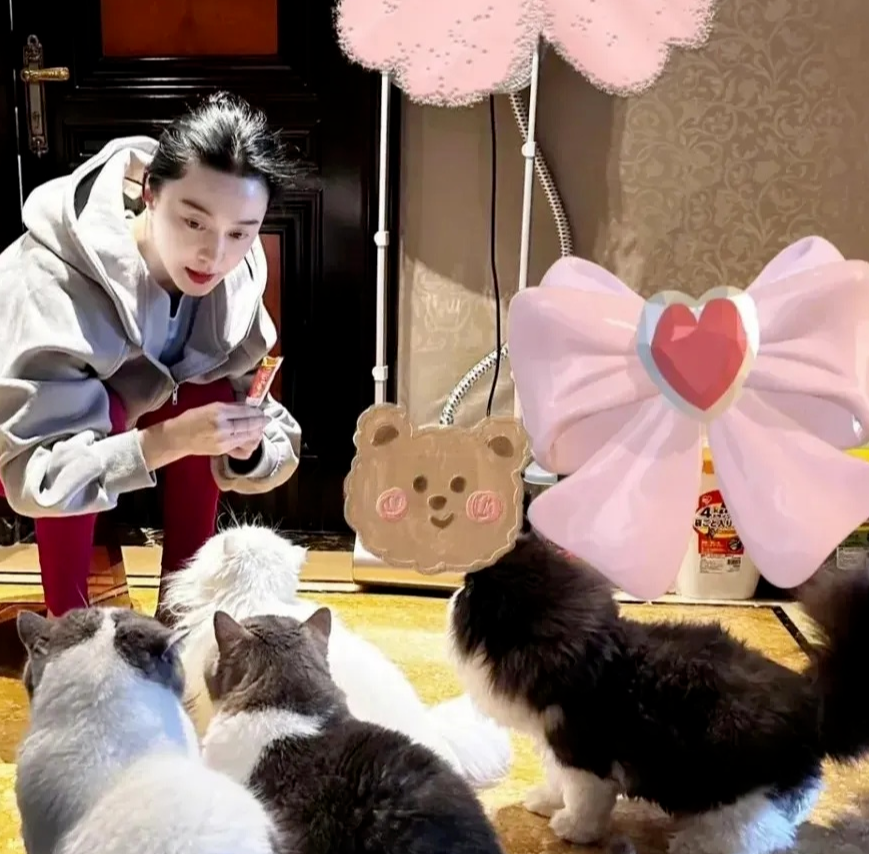 43岁范冰冰在豪宅内撸猫,穿居家服素颜很接地气,胖20斤仍美艳动人