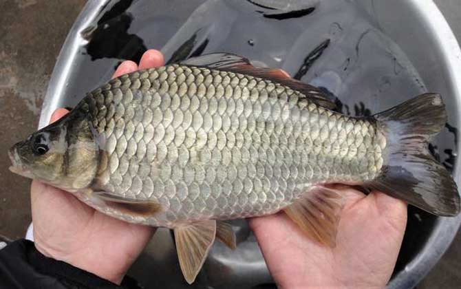 春季野钓五大雷区,你中招了吗?快来看看如何避免踩坑!