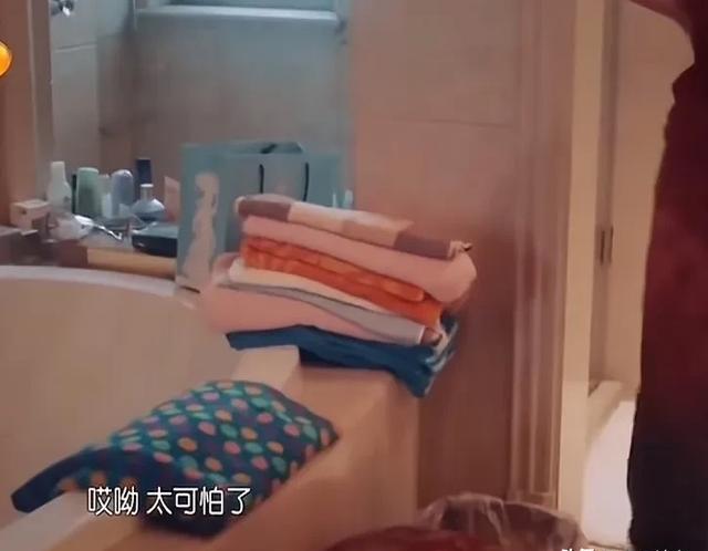 许晴豪宅内部曝光,家里堆的满满的,难怪活的像小公主