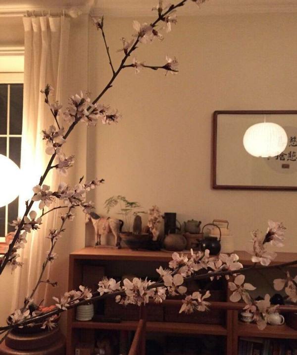 参观演员周杰的豪宅,家里自带农场和泳池,不拍戏也是人生赢家