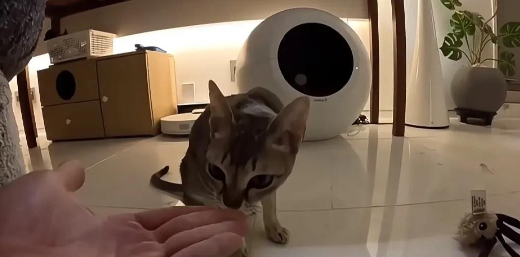 张根硕发出多张近照,癌症恢复后瘦了不少,37岁状态像男大