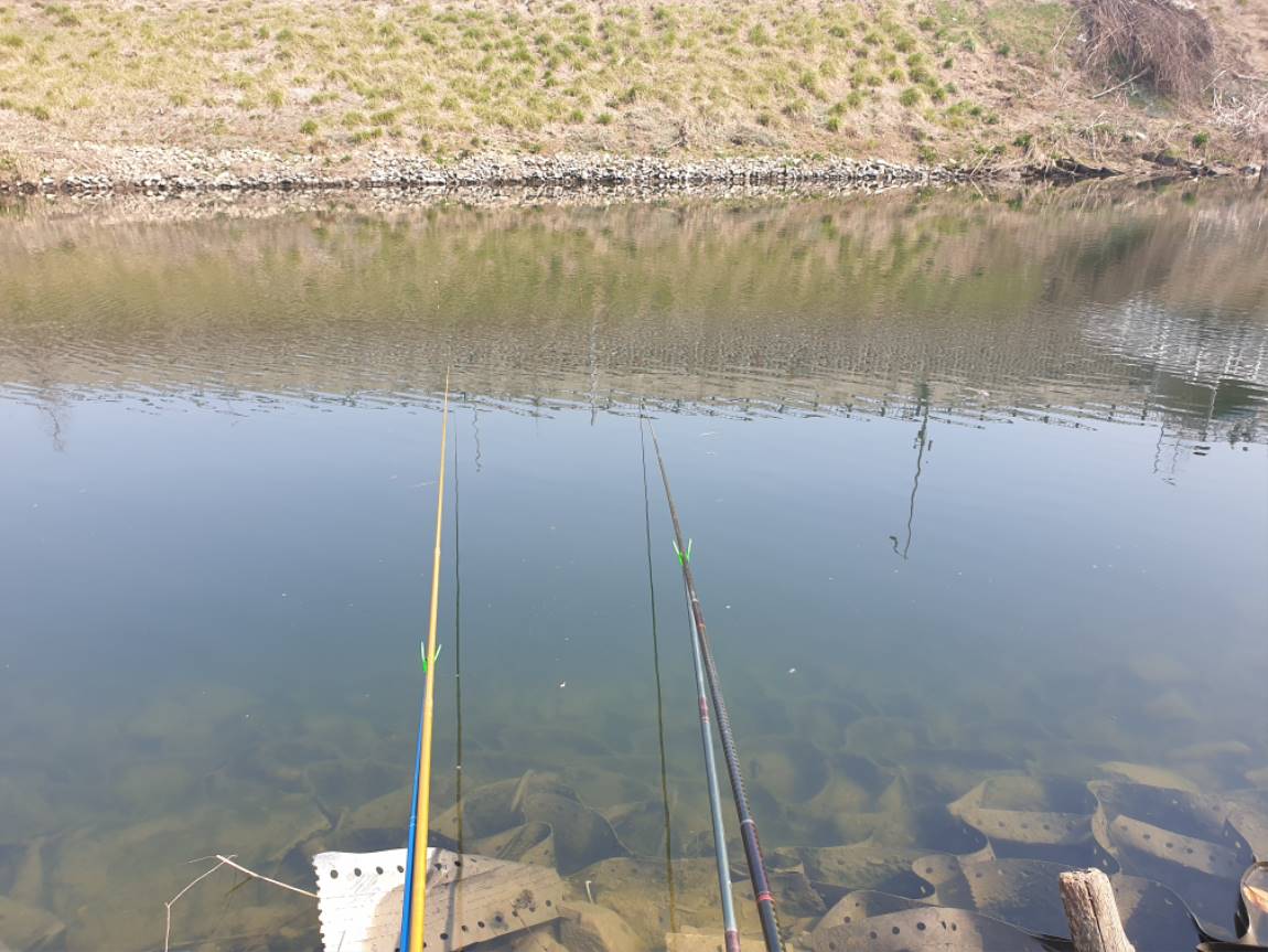 春天钓鱼不难，只要掌握这些误区和技巧，让鱼儿主动上钩！