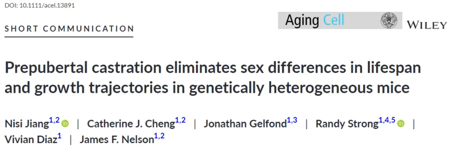为什么除了太监，大多数的男性寿命比女性短？研究终于有了结果