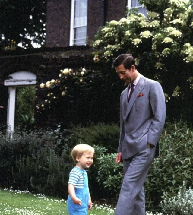 威廉王子发文庆祝父亲节,照片温馨有爱,哈里王子还没动静