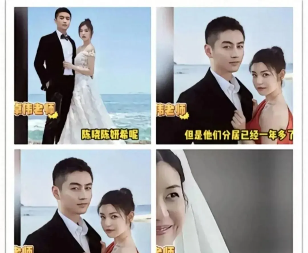 卓伟曝陈晓陈妍希离婚内幕,都说炸裂,导致男方连儿子都舍弃了!