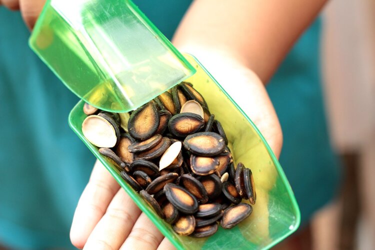 瓜子是糖尿病的“催化剂”？维持胰岛健康，牢记4吃3不吃