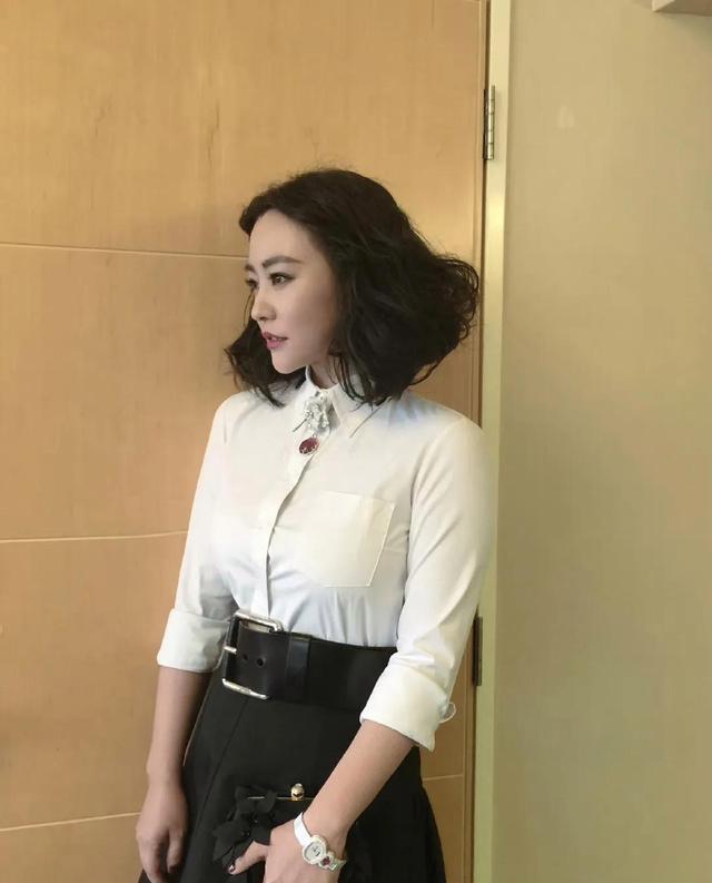 回顾郝蕾与刘烨离婚后,自己一人养育双胞胎儿子,如今如何?