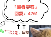 不就除夕夜给青梅送块蛋糕至于离婚吗顾林轩顾思思