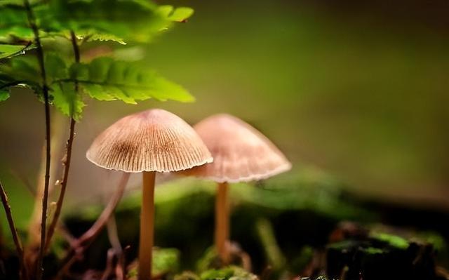 人在單位，若想安身立命，這三種大忌永遠(yuǎn)不要犯