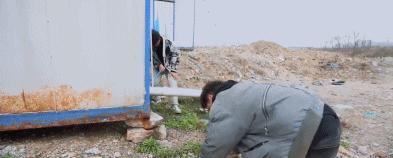 金莎的软饭男友,一夜洗白