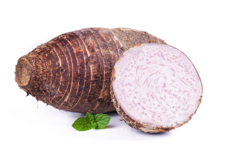 92岁陈可冀院士研究血脂50年，劝告：除肉类外，4种素食嘴下留情