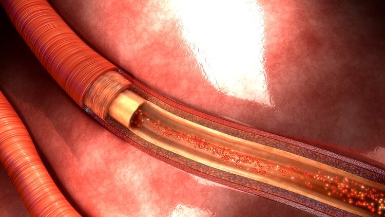 能不能长寿，手背青筋有暗示？医生：若有4特征，长寿几率更大