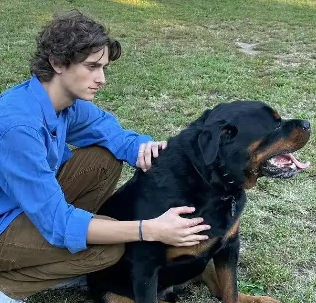 阿汤哥18岁女儿恋爱了！小情侣共赴毕业舞会，少年一头卷发好文艺