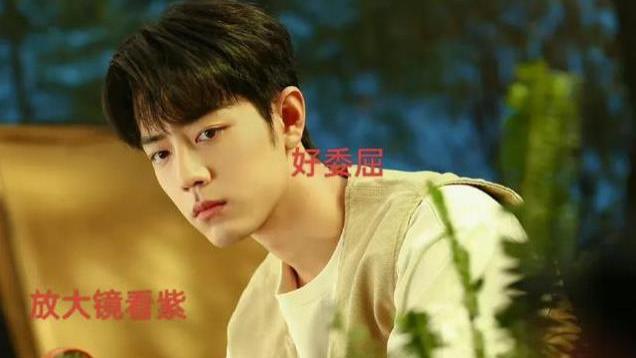 肖战终于不藏了！工作室再次发糖，网友直呼：要不要这么显眼啊！