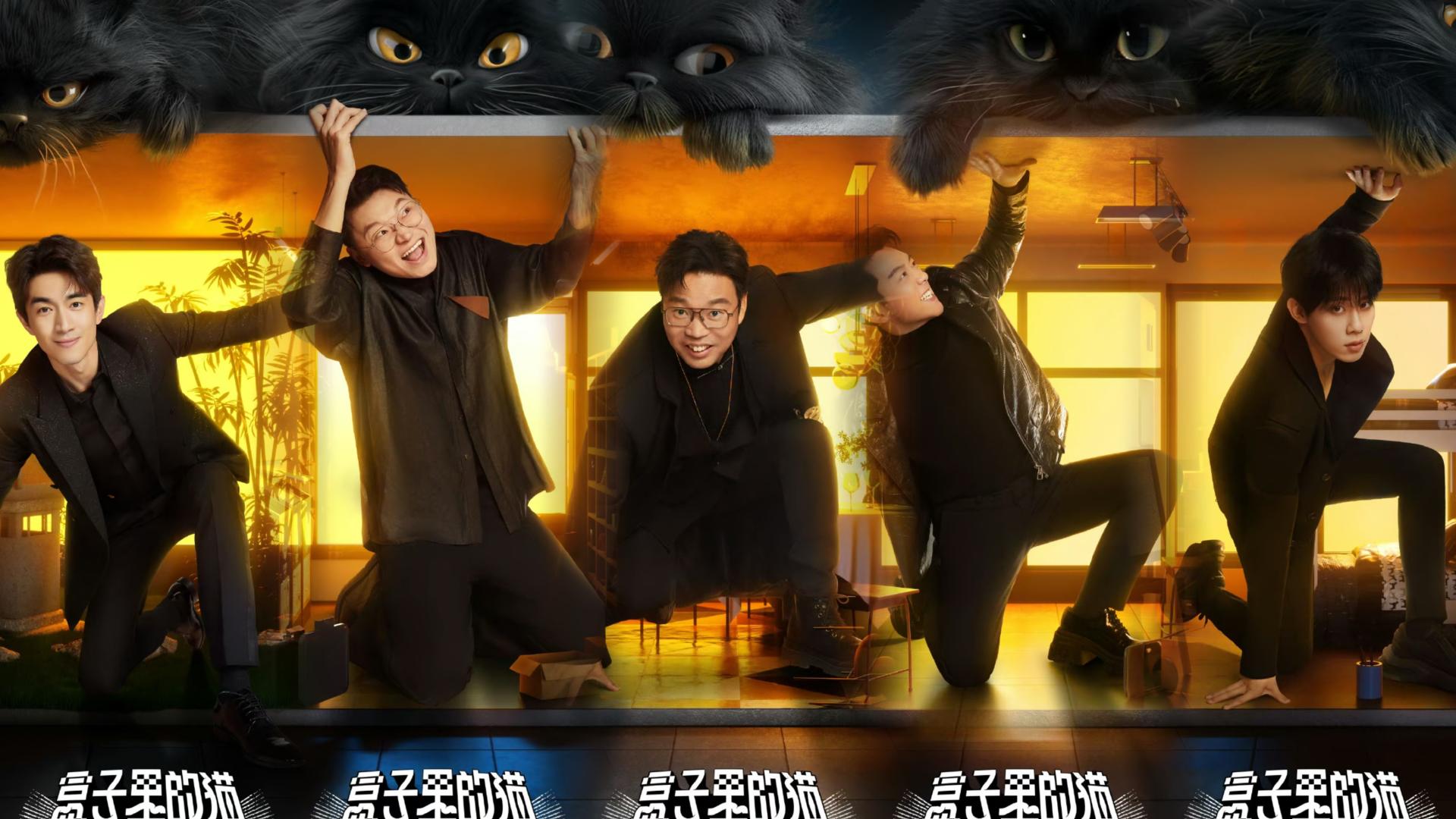 盒子里的猫|《盒子里的猫》重磅来袭，全新模式备受期待！