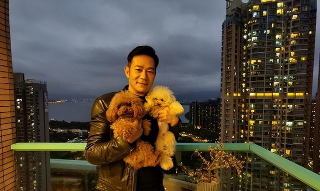 港星张兆辉晒百万新车,被嘲在TVB一辈子都买不了,机智回应获赞